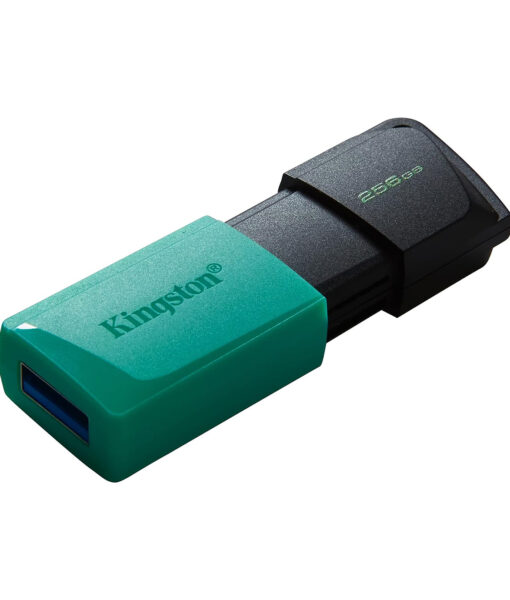 DTXM-256GB
