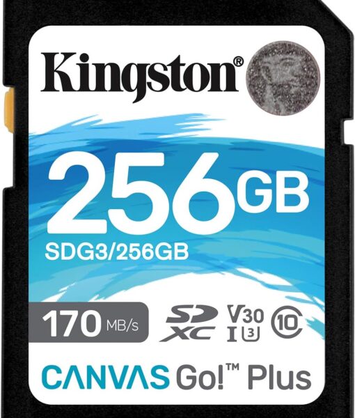 SDG3-256GB